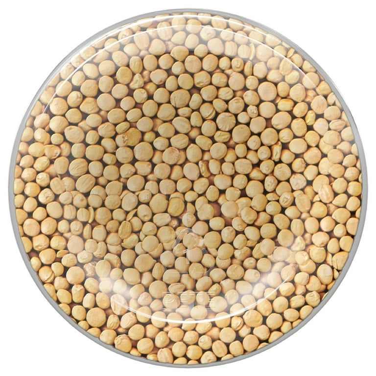 The Mustard Seeds☆Mustard Seeds 【公式通販】