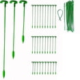 thumbnail image 1 of 30 Pack Plant Support Stakes, Garden Single Stemmed Plant Support, 1 of 5