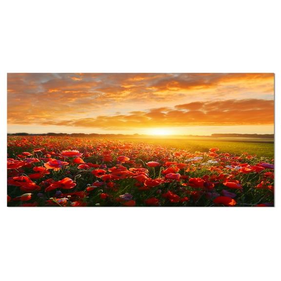 Designart 'Beautiful Poppy Field at Sunset ' Oversized Abstract Canvas Art Print
