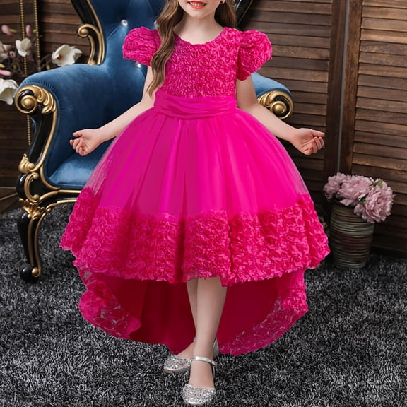 Little Girl Dresses Formal Dress for Girls Pink Girls Dress Party Dress for Girls Children's Day Outfit 5-6Y