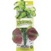 Marina Naturals Pennywort Silk Plant, Medium