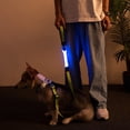 thumbnail image 1 of OUNONA 1Pcs LED Running Belt Strap ABS Light for Dog Walking at Night, 1 of 8