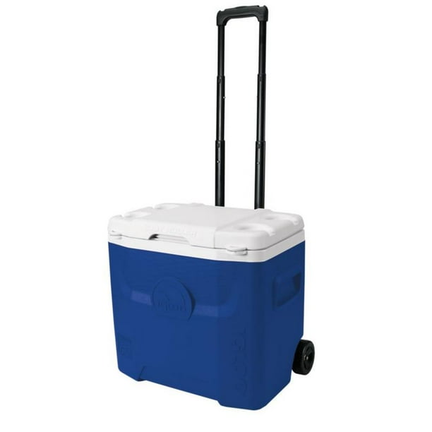 igloo quantum 28 roller
