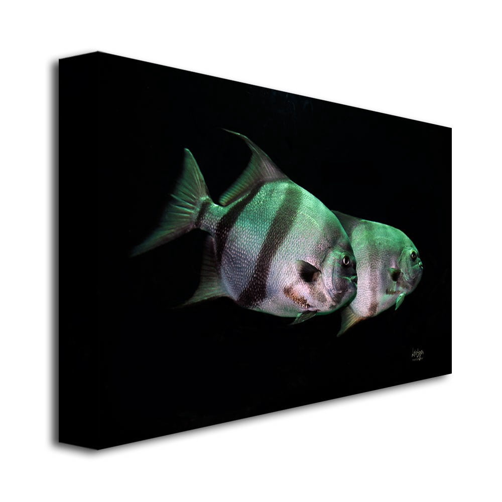 Trademark Fine Art "Fish in the Dark" Canvas Wall Art by Lois Bryan