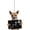 D, variant on Car Mirror Hanging Accessories -5Pc Dog Car Hanging Ornament Cute Puppy Funny Car Pendant Decoraction Swinging Ornaments for Car Rear View Mirror Hanging Car Interior Accessories for Men Women