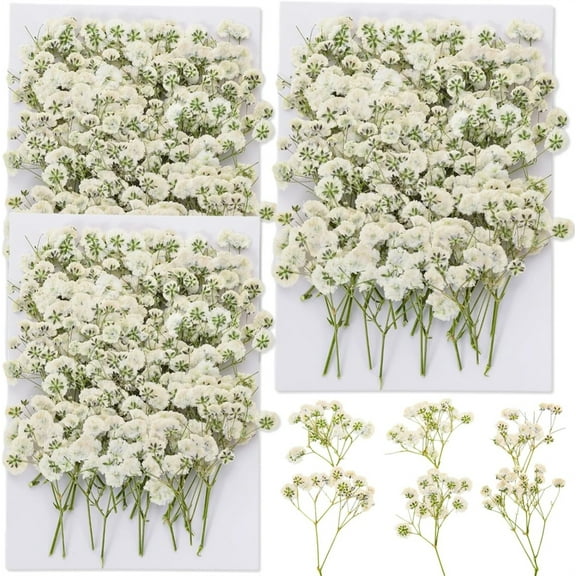 Duslogis 50Pcs White Babys Breath Dried Pressed Flowers for Crafts, Dry Flower Kit for Wedding Invitation Accessories,Bookmark,Jewelry Molds,Candle Making Supplies,Soap,Frame,Cakes