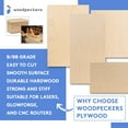 Baltic Birch Plywood, 3 mm 1/8 x 6 x 12 Inch Craft Wood, Box of 16 B/BB