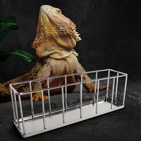 Rectangle Tortoise Feeder Stainless Steel Pet Reptile Food Dispenser Tool Multifunctional Smooth Edge Professional Lightweight Accessories