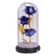 thumbnail image 1 of Flor de rosa encantada Naiovety en cúpula de cristal Luz LED Decoración del día de San Valentín rojo Flores artificiales azul, 1 of 1