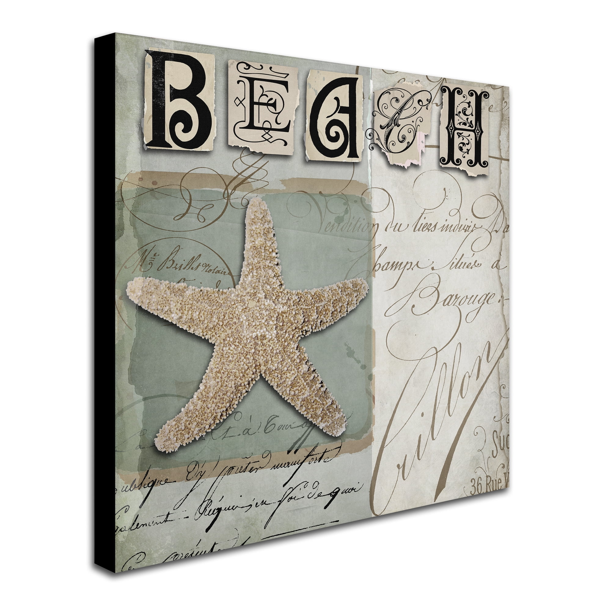"Beach Book II" Canvas Art by Color Bakery