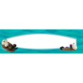 thumbnail image 3 of Barker Creek Sea and Sky Placas de nombre de doble cara, 12 x 3-1/2 pulgadas, paquete de 36, 3 of 5