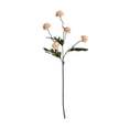 thumbnail image 2 of KGJQ Artificial Pompon Mum, 5 Heads Faux Mini Chrysanthemums Ball, Small Fake Flower Stem for Vase Filler, DIY Bouquet, Autumn Table Centerpiece, Flower Arrangements, 2 of 8