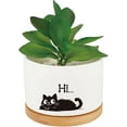thumbnail image 2 of Plant Pots Black Cat White Ceramics Cute Planter Succulent Cactus Flower Porcelain Holder Container Wood Tray Drainage Hole Home Office Decoration for Plant Lovers Friends Coworker(No Plants), 2 of 8