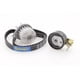 thumbnail image 1 of Kit De Distribución Con Bomba De Agua 207 2008 A 2011 Peugeot L4 1.4L RODATECH ., 1 of 3
