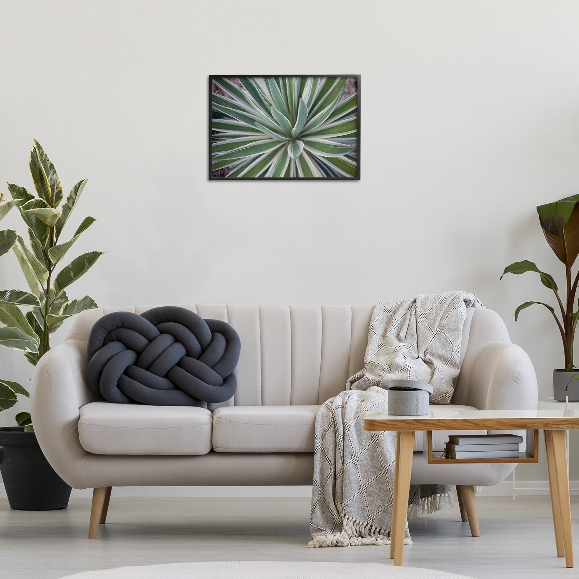 Stupell Industries Centric Succulent Leaves Botanical & Floral Photography Black Framed Art Print Wall Art, 24 x 16