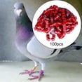 thumbnail image 3 of 100x Anillos para patas de paloma Bandas para pies de paloma de aluminio Identificación, pájaro portátil numerado 8 mm para pinzón gallo Aves pequeñas Rojo Yinane Anillos para patas de paloma, 3 of 8