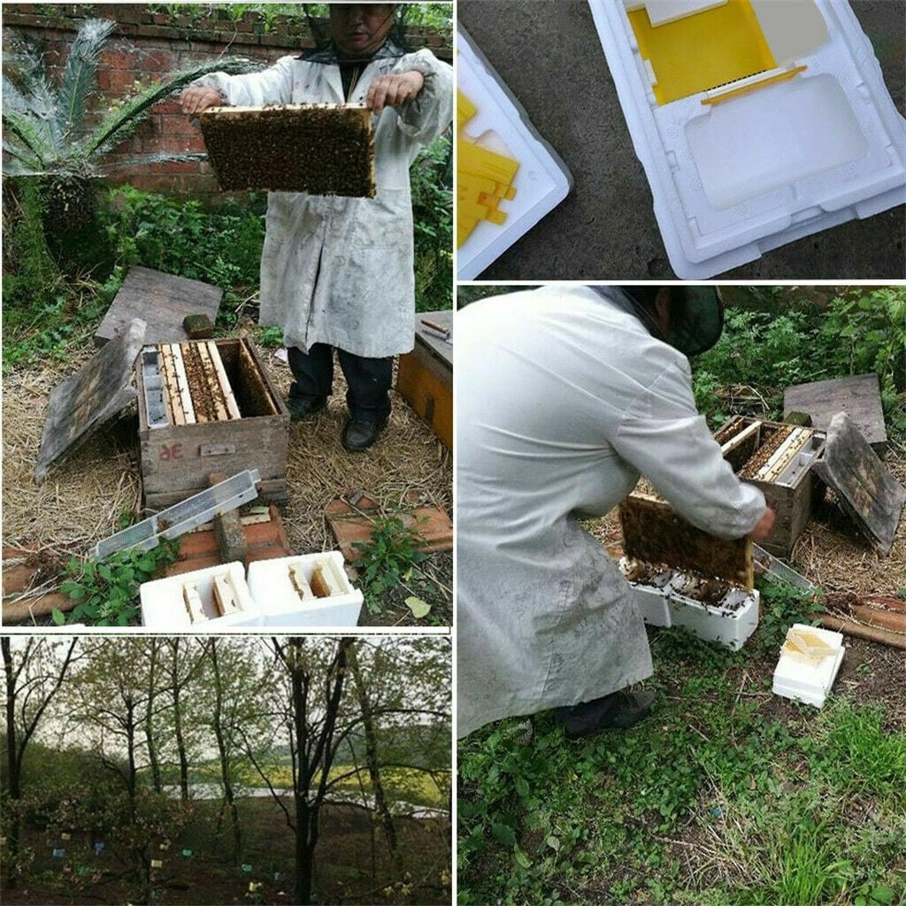 Foam Frame Harvest Bee Hive Beekeeping King Box Pollination Box Garden Tool NEW 