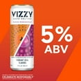 thumbnail image 2 of Vizzy Variety Pack , 12 Pack, 12 fl oz Aluminum Cans, 5% ABV, 2 of 7