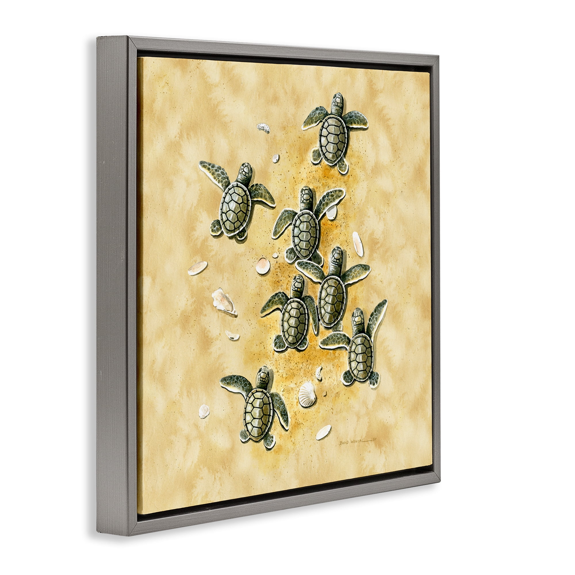 Stupell Industries Baby Sea Turtles Shore Animals Painting Gray Floater Framed Canvas Art Print Wall Art, 18 x 18