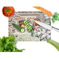 thumbnail image 2 of Carolines Treasures ASA2199LCB European Robin Glass Large Cutting Board, 2 of 2