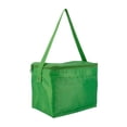 thumbnail image 2 of Paquete 100 piezas Hielera impermeable con correa ajustable verde 19 x 14.5 x 13, 2 of 3