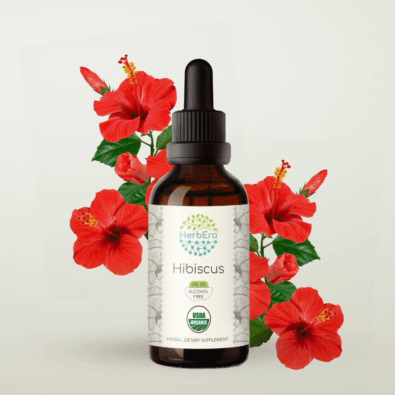 HerbEra Hibiscus Tincture, Organic Herbal Dietary Supplement for Antioxidant Support, Certified Organic Hibiscus (Hibiscus sabdariffa) Dried Flower Extract, Natural, Alcohol-Free, Drops 2 oz