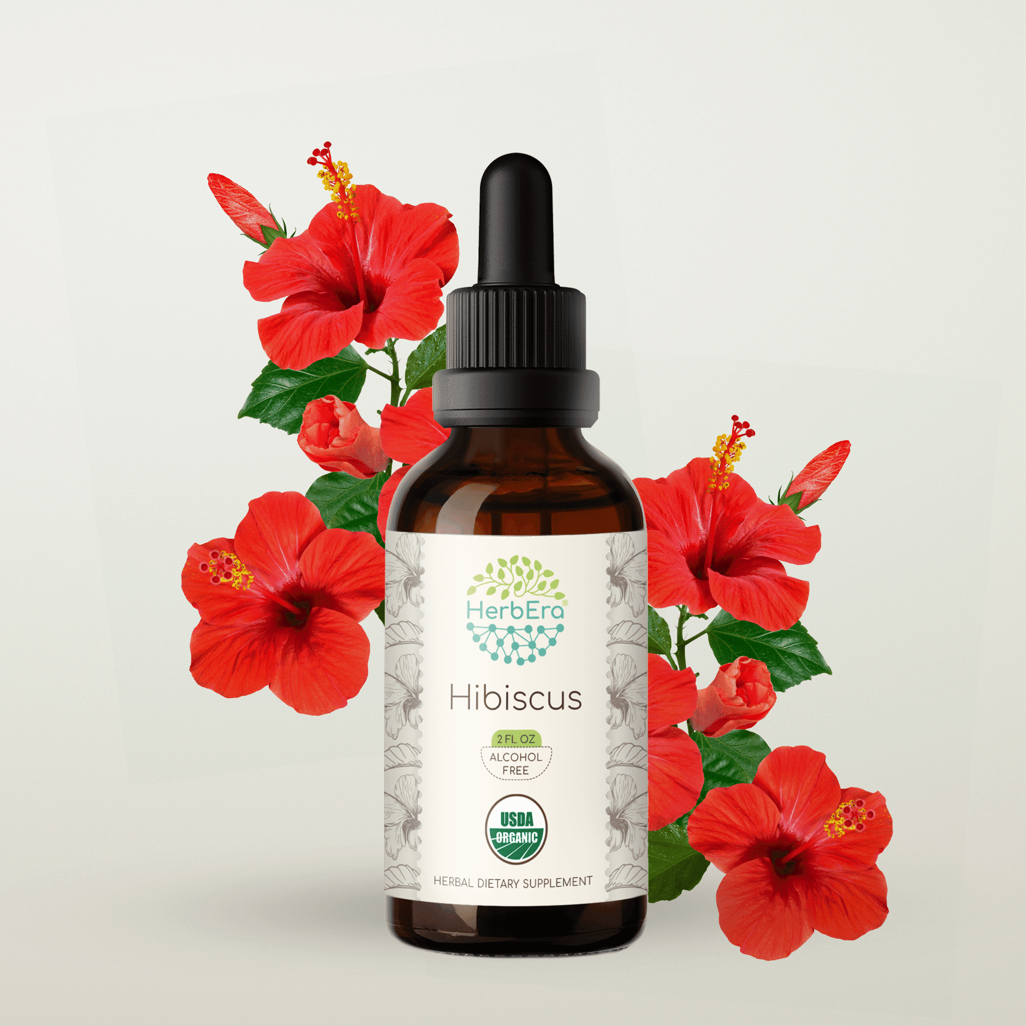 HerbEra Hibiscus Tincture, Organic Herbal Dietary Supplement for Antioxidant Support, Certified Organic Hibiscus (Hibiscus sabdariffa) Dried Flower Extract, Natural, Alcohol-Free, Drops 2 oz