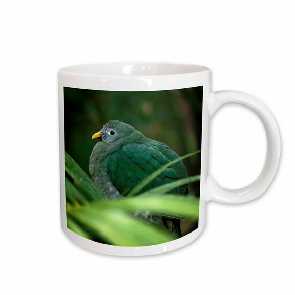 3drose, Philippines. Female Black-chinned Fruit Dove Bird - Na02 Aje0247 - Adam Jones, 11oz Mug