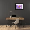 thumbnail image 3 of Kazun, Andrii 24x17 Black Ornate Wood Framed with Double Matting Museum Art Print Titled - Hard Worker, 3 of 4