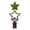 B, variant on Double Layer Star Shaped Artificial Yard Tree Stake, Patriotic Faux Greenery Ground Plug for 4th of July Lawn, Flower Bed and Outdoor Independence Day Landscape Layout Prop Decor