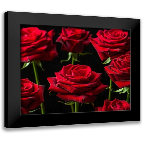 Frank, Assaf 14x12 Black Modern Framed Museum Art Print Titled - Close-up of Roses on colored background