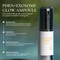 thumbnail image 2 of PDRN+ Exosome Ampoule – Hydrating Serum with Niacinamide, Hyaluronic Acid & Adenosine, Plumping Serum for Smooth Texture and Radiant Skin, 2 of 11
