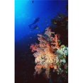 thumbnail image 1 of Posterazzi DPI1880141LARGE Two Silhouetted Divers Behind Soft Corals In The Red Sea Poster Print, 22 x 34 - Large, 1 of 1