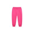 thumbnail image 3 of Bellafa Toddler Girls Cotton Sweatpants Embroidery Prints Drawstring Waist Casual Joggers Pants for Kids 2-7Y, 3 of 8