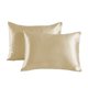 thumbnail image 1 of Nvzi 2 fundas de almohada de seda sintética Comienza tu noche de ensueño con esta funda de almohada cómoda y transpirable de 20,08 x 29,92 pulgadas (caqui), 1 of 5