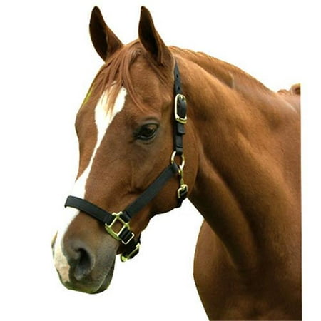 Premium Halter Chin With Snap