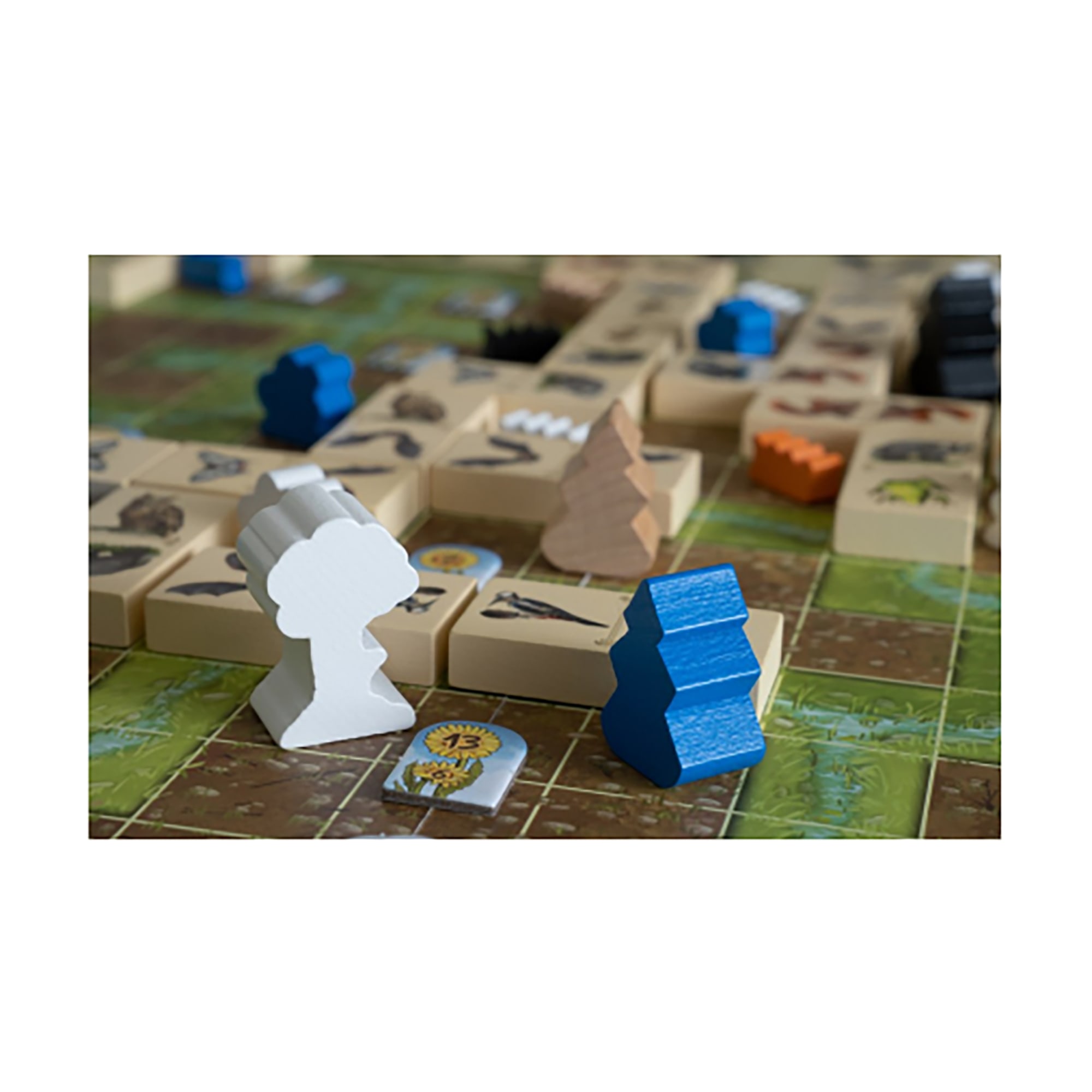 Capstone Games: Renature Valley - Expansion Strategy Board Game, Transform An Ecosystem, Ages 12+