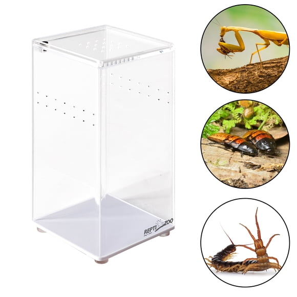 REPTI ZOO Mini Terrario de Acrílico, 7.5 x 7.5 x 15 cm, Caja de Reproducción de Reptiles, Tanque de Jaula de Terrario para Tarántula, Escorpión, Isópodos, Cucarachas, Invertebrados, Insectos Mantis REPTI ZOO Mini Terrario de acrilico