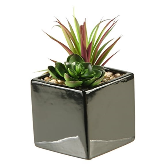 D&W Silks Succulent and Echeveria in Square Black Ceramic Planter