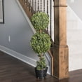 thumbnail image 5 of Vickerman 3' Artificial Potted Double Ball Green Boxwood Topiary., 5 of 6