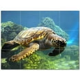 thumbnail image 1 of Turtle Ceramic Tile Mural Kitchen Backsplash Bathroom Shower 402930-S43, 1 of 3