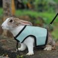 thumbnail image 3 of Miangastore Harness with Lead for Rabbits Bunny Little Pets - Size XL(Sky Blue), 3 of 8