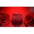 thumbnail image 2 of inmi Bloomgasm Wild Rose Clitoral Stimulator, 2 of 4
