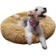 thumbnail image 1 of Peaceful Pooch | Cama Perro Anti-estrés y Ortopédica Chica | Pelo Largo, Borde Elevado, Lavable y Antideslizante | Confort Premium para Mascotas, 1 of 6