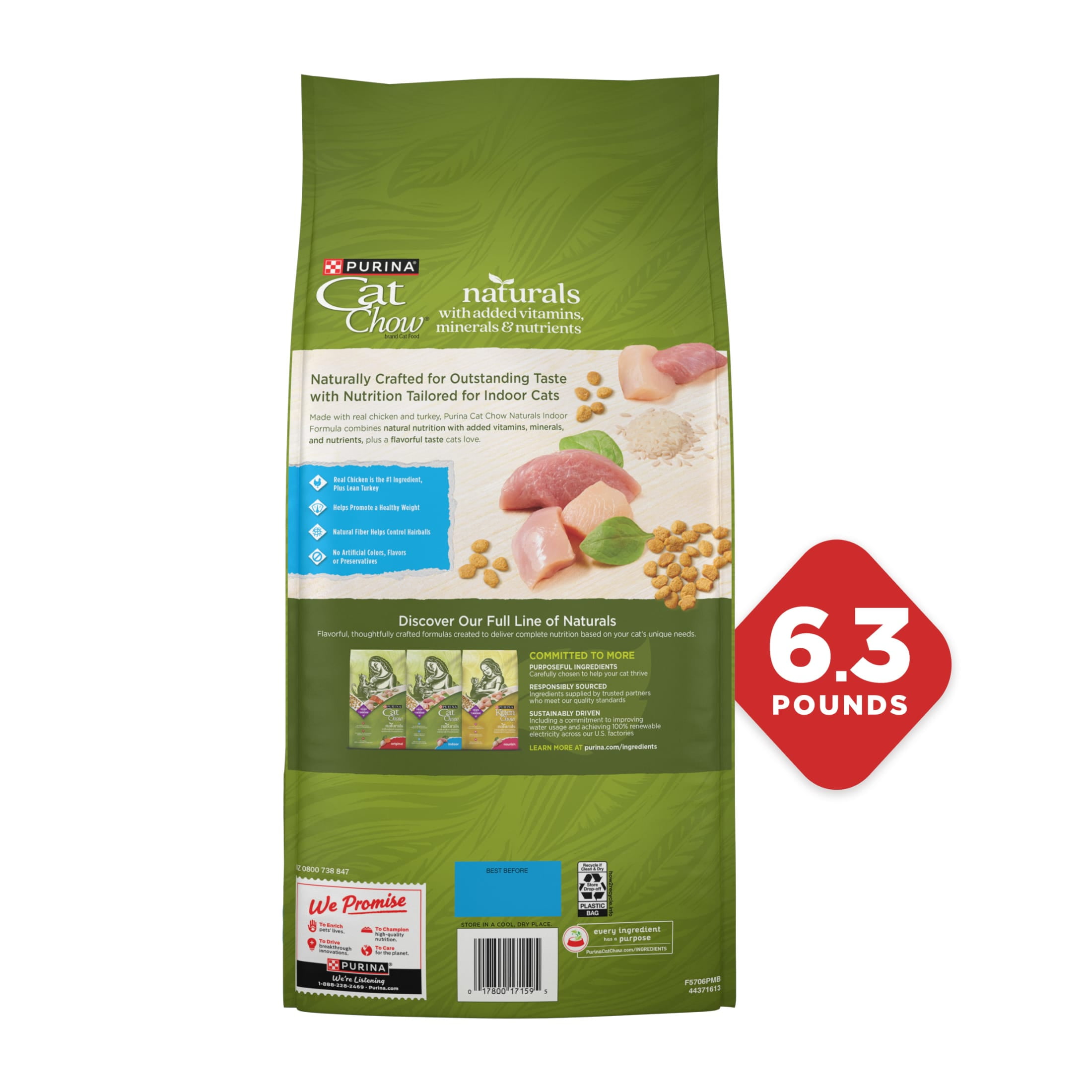 Cat Food Natural Dog Food Brands NutriSource Chicken Rice Formula