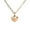 Golden, variant on ZPAQI Jewelry Heart-shaped Necklace Pet Memorial Ash Necklace Memorial Souvenir