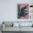 thumbnail image 3 of Trademark Fine Art 'Bamboo Pink I' Canvas Art by Ren?e W. Stramel, 3 of 3