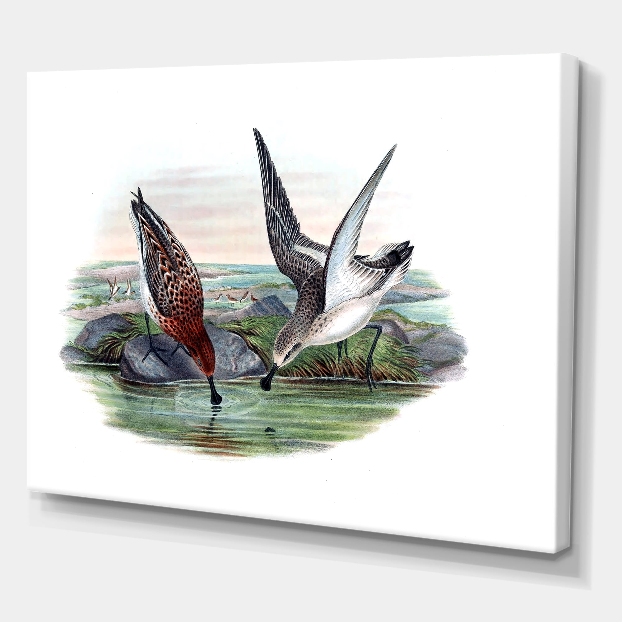 Designart ' Vintage Countryside Two Birds In Lake ' Farmhouse Canvas Wall Art Print