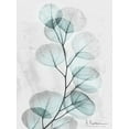 thumbnail image 2 of Koetsier, Albert 12x14 White Modern Wood Framed Museum Art Print Titled - Eucalyptus Glow 3, 2 of 4