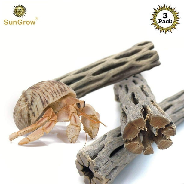 SunGrow Hermit Crab & Leopard Gecko Cholla Wood, for Aquarium Tank Driftwood Decor & Climbing Toy